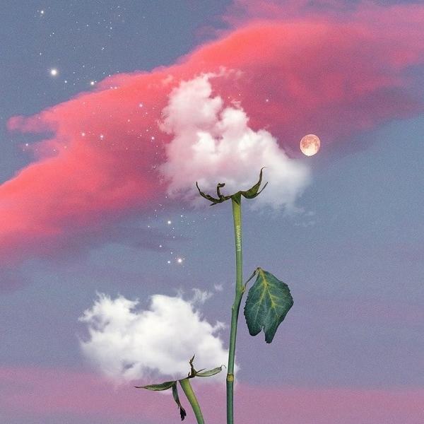 mist